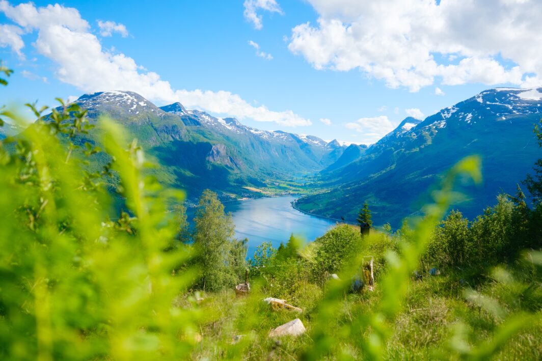 Fiordo norvegese e verde dall'alto