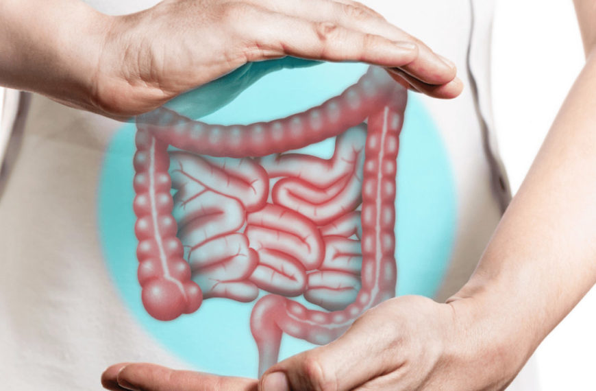 Influenza degli acidi grassi omega-3 sul benessere intestinale