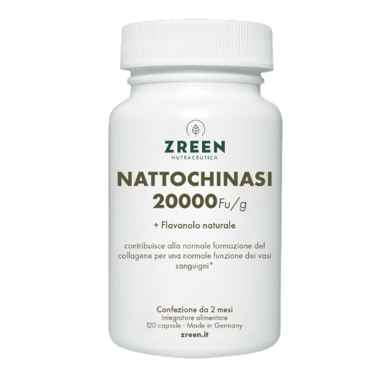 ZREEN NattoChinasi 20000