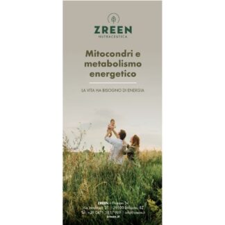Flyer Zreen - Mitocondri e metabolismo energetico