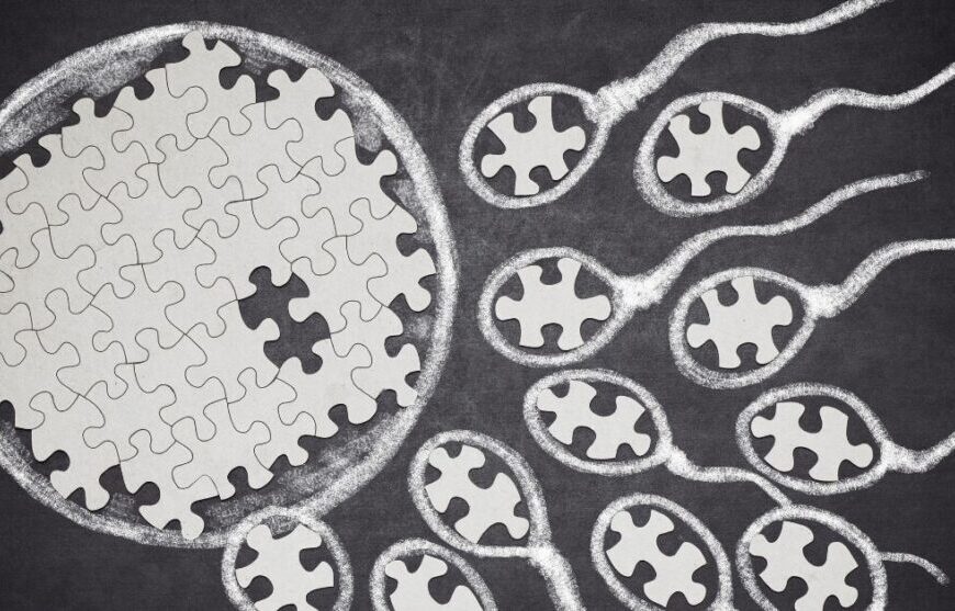 Protocollo Sostengo fertilità uomo
