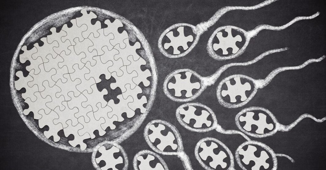 Protocollo Sostengo fertilità uomo