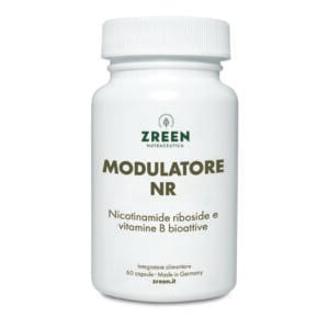 Modulatore NR