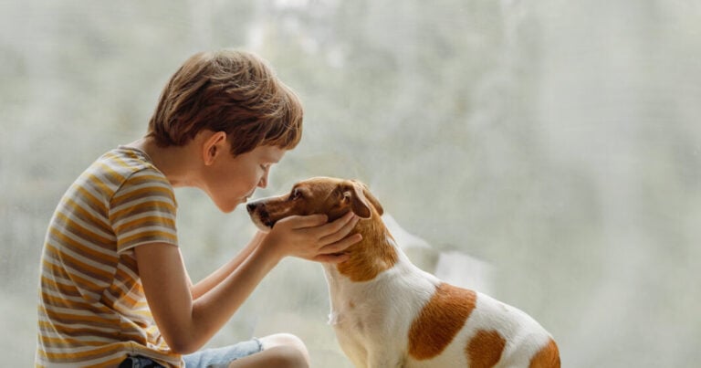 Bambino bacia cane sul naso
