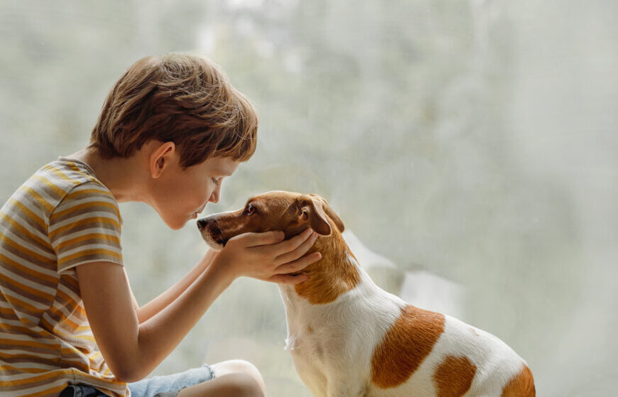 Bambino bacia cane sul naso