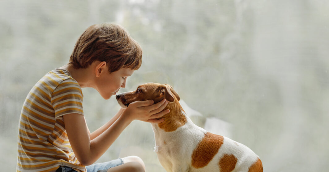 Bambino bacia cane sul naso