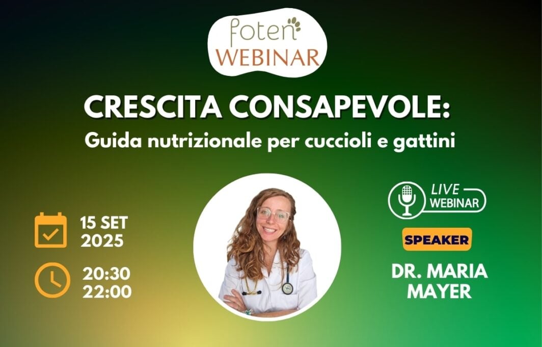 Copertina foten Webinar: Crescita consapevole - Guida nutrizionale per cuccioli e gattini