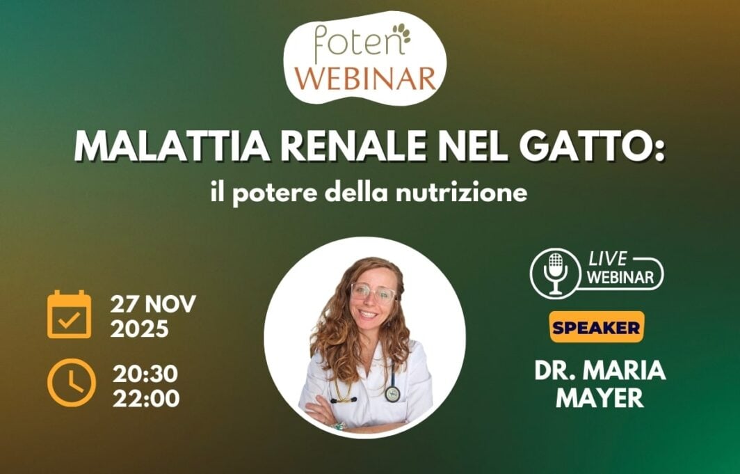 Copertina foten Webinar "Malattia renale nel gatto: il potere della nutrizione" e foto profilo Dr.ssa Mayer