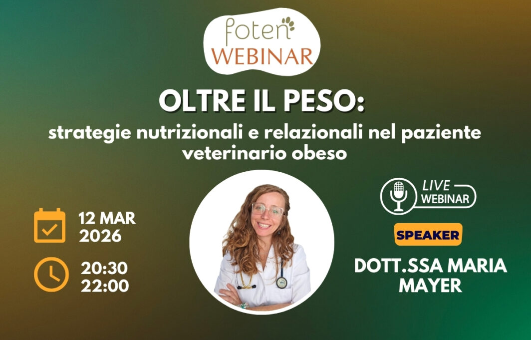 SITO_foten webinar con Mayer-12.03.26