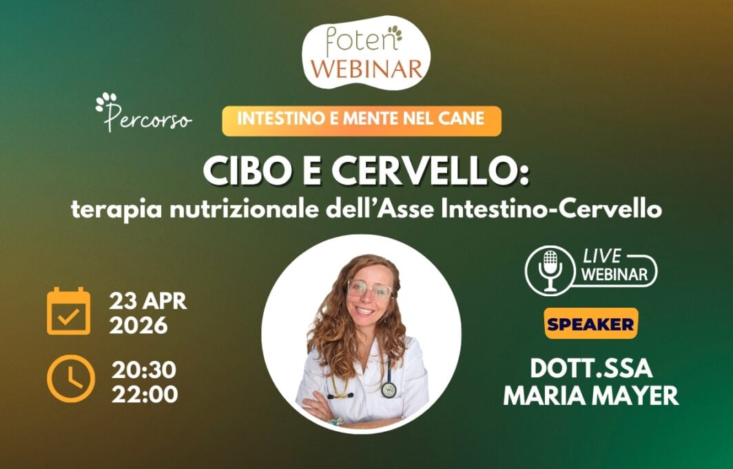 Copertina Webinar Foten - Cibo e cervello: terapia nutrizionale dell’Asse Intestino-Cervello