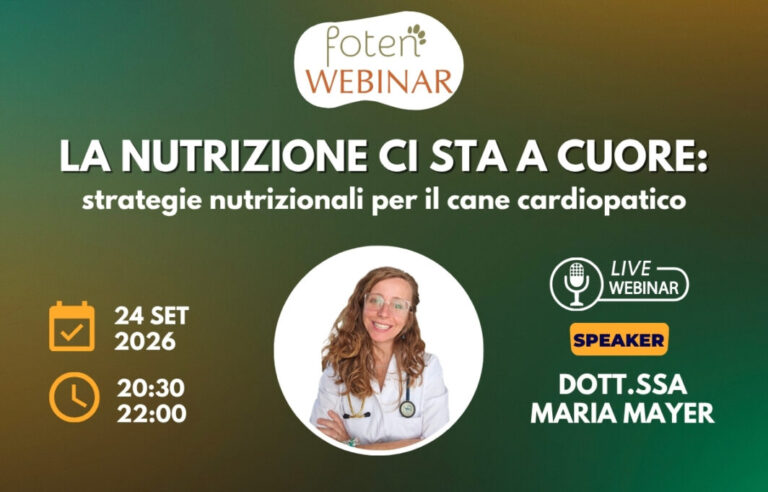 Copertina Webinar Foten: La nutrizione ci sta a cuore: strategie nutrizionali per il cane cardiopatico