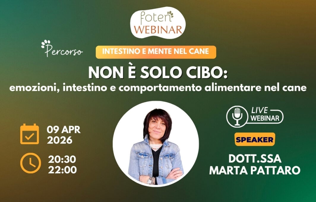 Copertina Webinar Foten: Non è solo cibo: emozioni, intestino e comportamento alimentare nel cane
