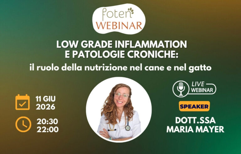 Copertina Webinar foten - Low grade inflammation e patologie croniche: il ruolo della nutrizione nel cane e nel gatto