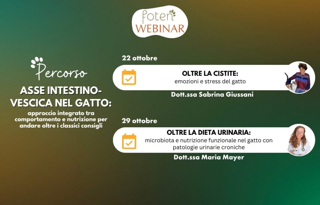 Grafica per Serie di webinar: Percorso Longevità e Salute: Info webinar e foto dei relatori