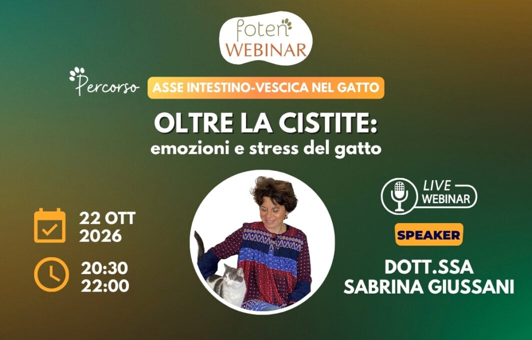 Grafica verde e arancione con logo foten Webinar, ritratto di Sabrina Giussani con un gatto e info sul webinar.
