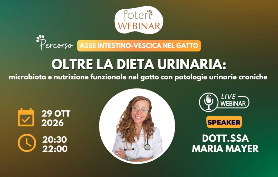 Grafica verde e arancione con logo foten Webinar, ritratto di Maria Mayer e info webinar.