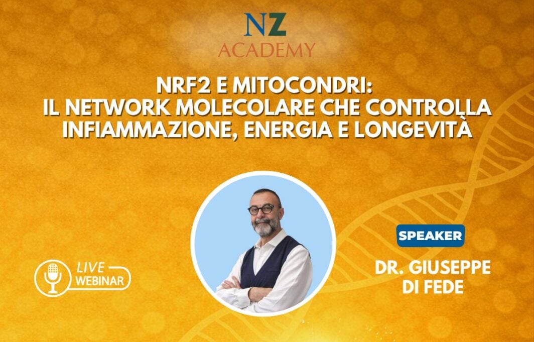 SITO_norsan webinar DI FEDE 21.12